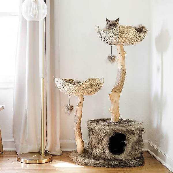MAU LIFESTYLE Cento 46-in Modern Wooden Cat Tree & Condo, Brown - Chewy.com | Chewy.com