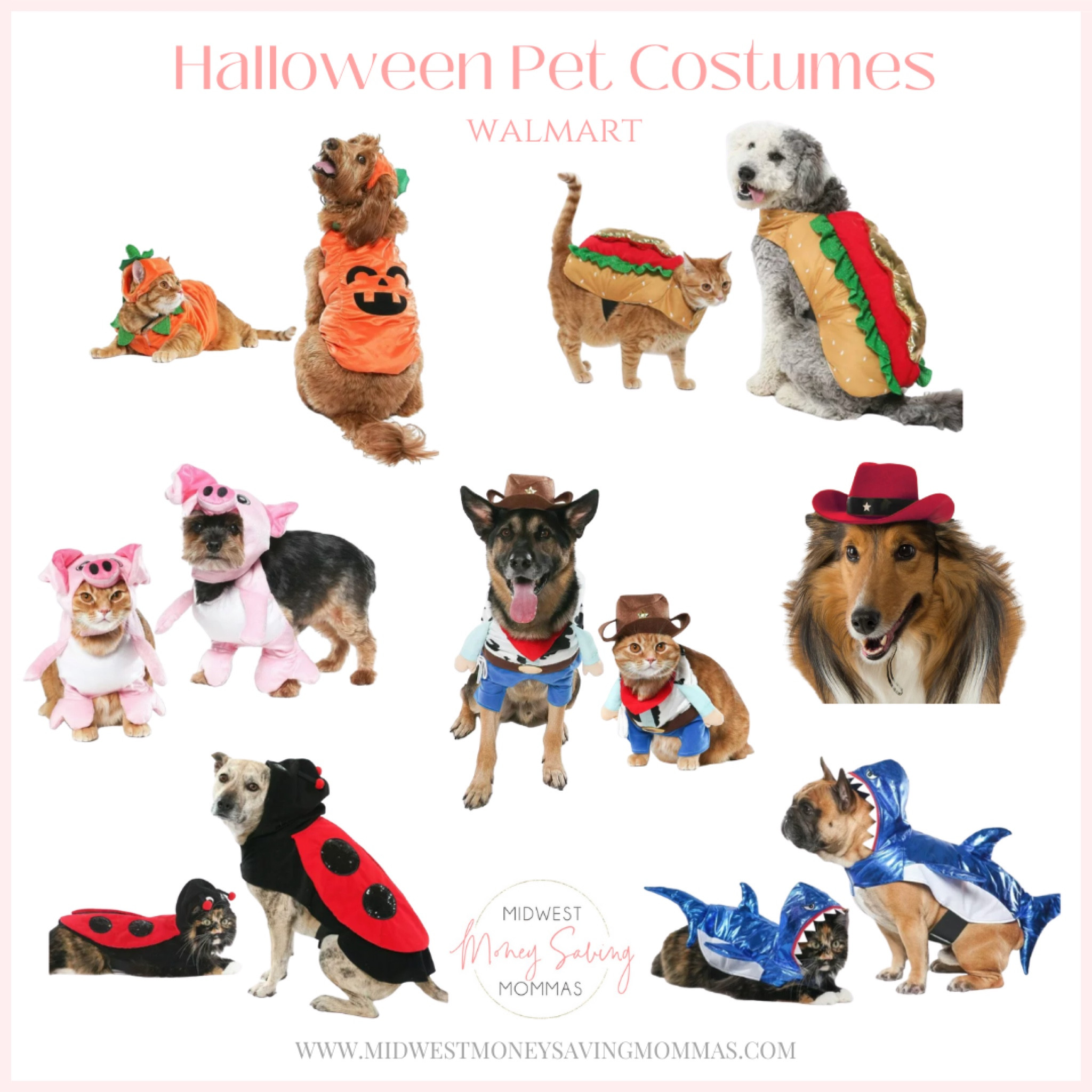 Halloween Pet Costumes 

Halloween  trick or treat  holiday

#LTKstyletip #LTKSeasonal