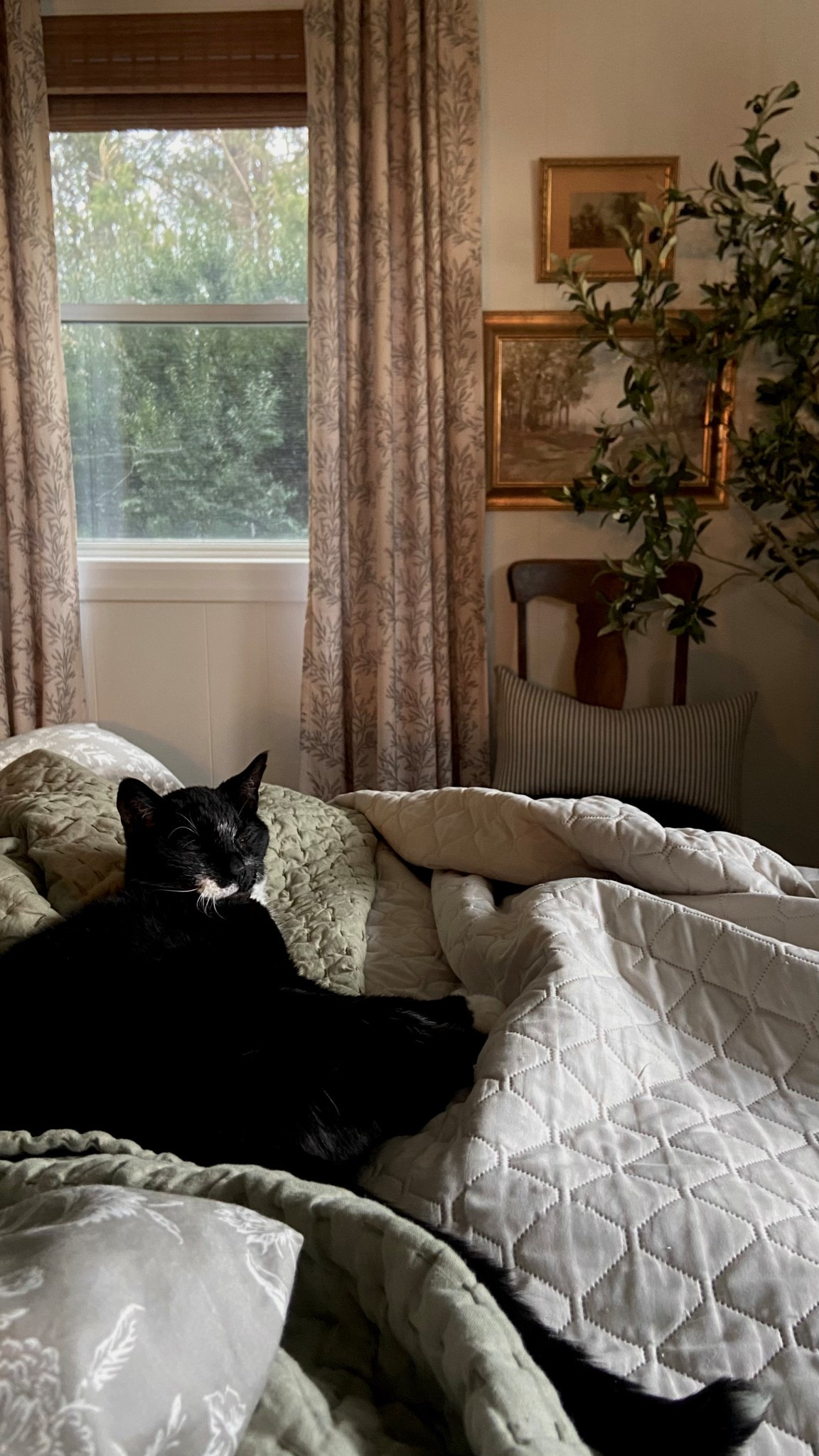 Oh, to be a cat on a cozy, rainy morning. Curtains are the color “Travertine.” Use code CREEKLINEHOUSE for 25% off.

#LTKSeasonal #LTKOver40 #LTKHome