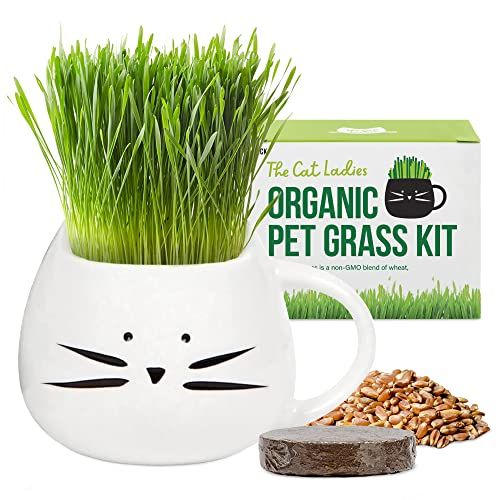 Organic Cat Grass Growing kit with Organic Seed Mix, Organic Soil and Cat Planter. Natural Hairball  | Amazon (US)