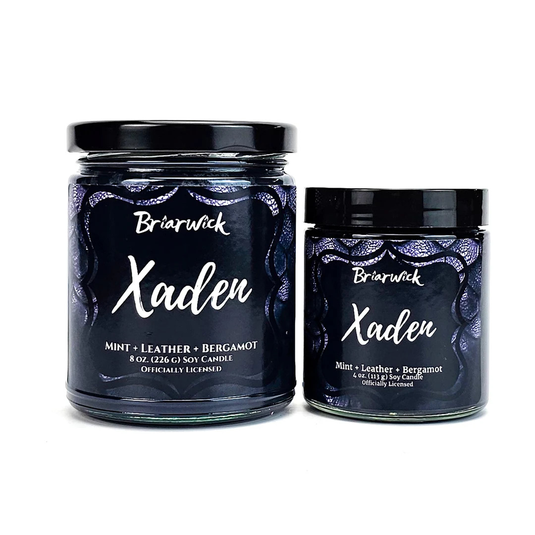 Xaden Candle Fourth Wing Officially Licensed Soy Vegan Candle - Etsy | Etsy (US)