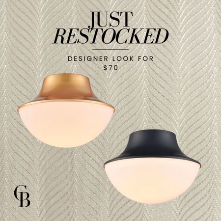 Just restocked! Designer look flush mount light for $70! 👏

Amazon, Rug, Home, Console, Amazon Home, Amazon Find, Look for Less, Living Room, Bedroom, Dining, Kitchen, Modern, Restoration Hardware, Arhaus, Pottery Barn, Target, Style, Home Decor, Summer, Fall, New Arrivals, CB2, Anthropologie, Urban Outfitters, Inspo, Inspired, West Elm, Console, Coffee Table, Chair, Pendant, Light, Light fixture, Chandelier, Outdoor, Patio, Porch, Designer, Lookalike, Art, Rattan, Cane, Woven, Mirror, Luxury, Faux Plant, Tree, Frame, Nightstand, Throw, Shelving, Cabinet, End, Ottoman, Table, Moss, Bowl, Candle, Curtains, Drapes, Window, King, Queen, Dining Table, Barstools, Counter Stools, Charcuterie Board, Serving, Rustic, Bedding, Hosting, Vanity, Powder Bath, Lamp, Set, Bench, Ottoman, Faucet, Sofa, Sectional, Crate and Barrel, Neutral, Monochrome, Abstract, Print, Marble, Burl, Oak, Brass, Linen, Upholstered, Slipcover, Olive, Sale, Fluted, Velvet, Credenza, Sideboard, Buffet, Budget Friendly, Affordable, Texture, Vase, Boucle, Stool, Office, Canopy, Frame, Minimalist, MCM, Bedding, Duvet, Looks for Less

#LTKstyletip #LTKSeasonal #LTKhome