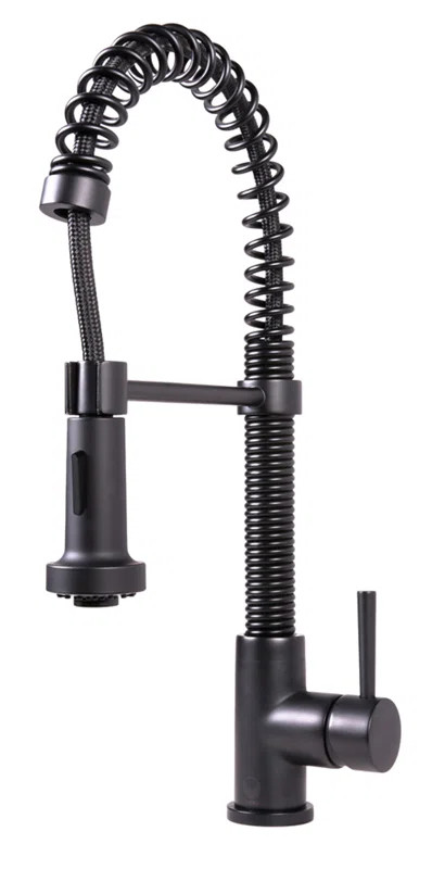 Edison Single Handle Pull-Down Spray Kitchen Faucet, Matte Black | Wayfair North America