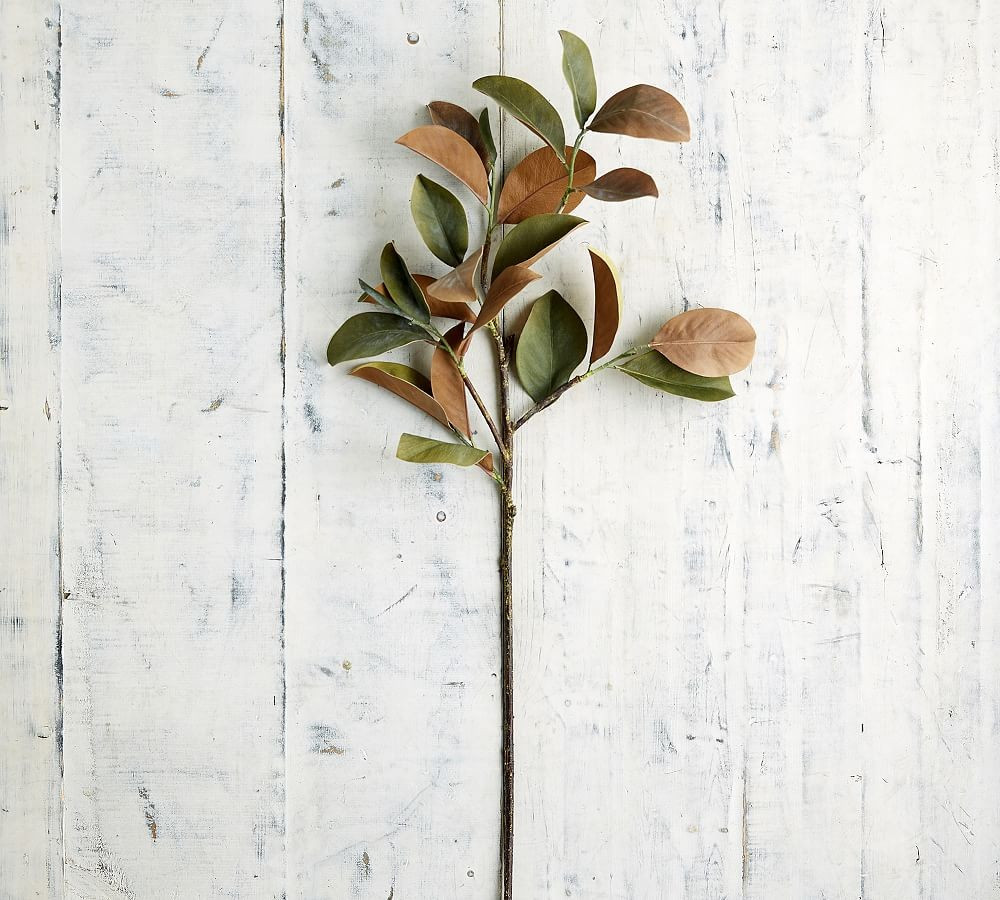 Faux Magnolia Leaf Branch | Pottery Barn (US)