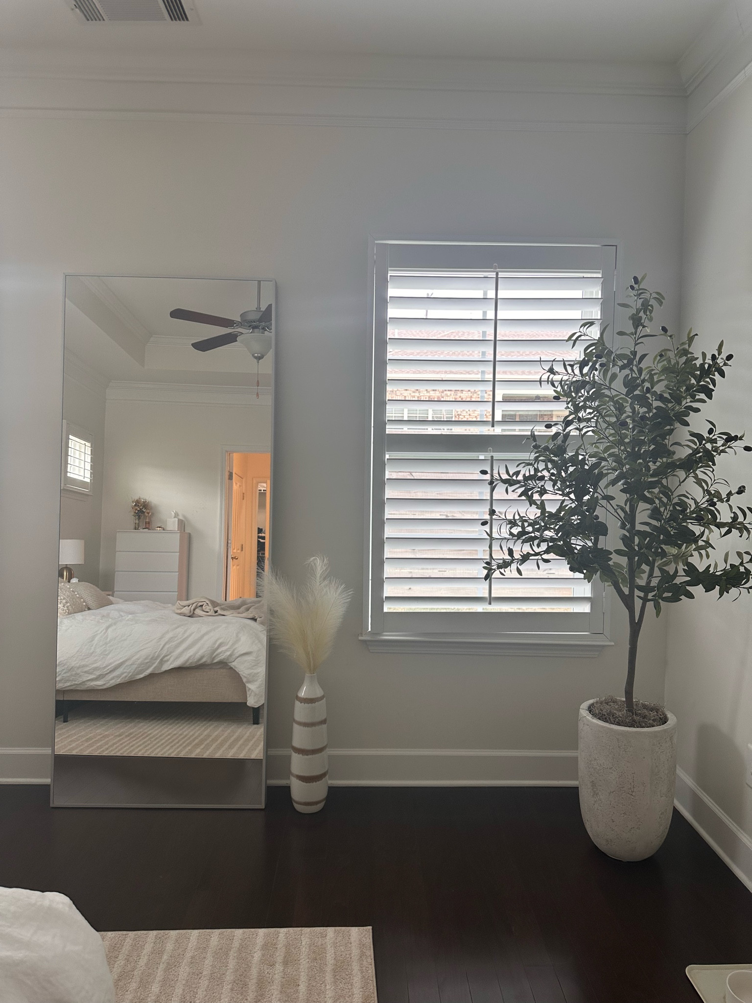 Modern mirror and olive tree, both super affordable! 

#LTKHome