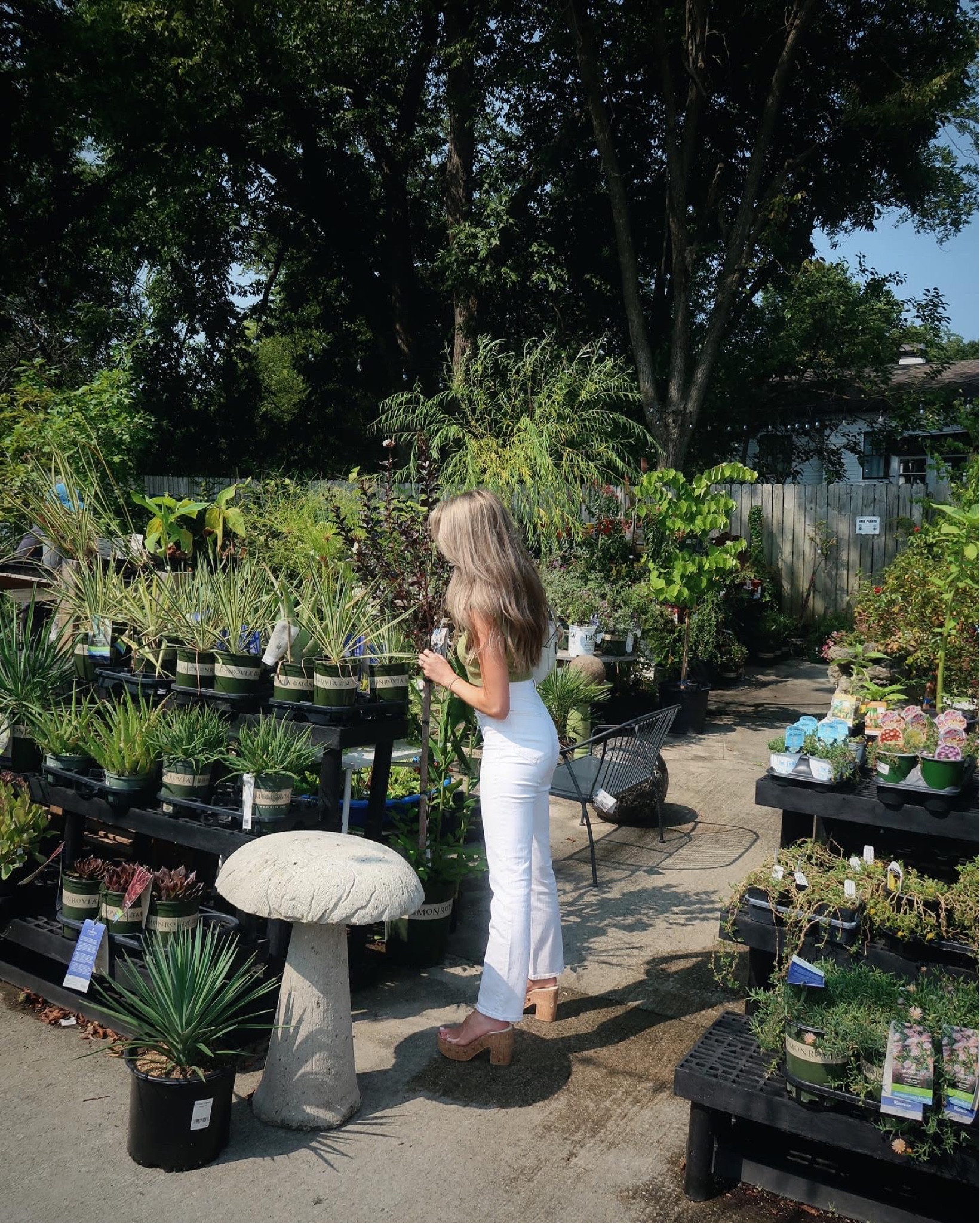 the jeans every girl needs