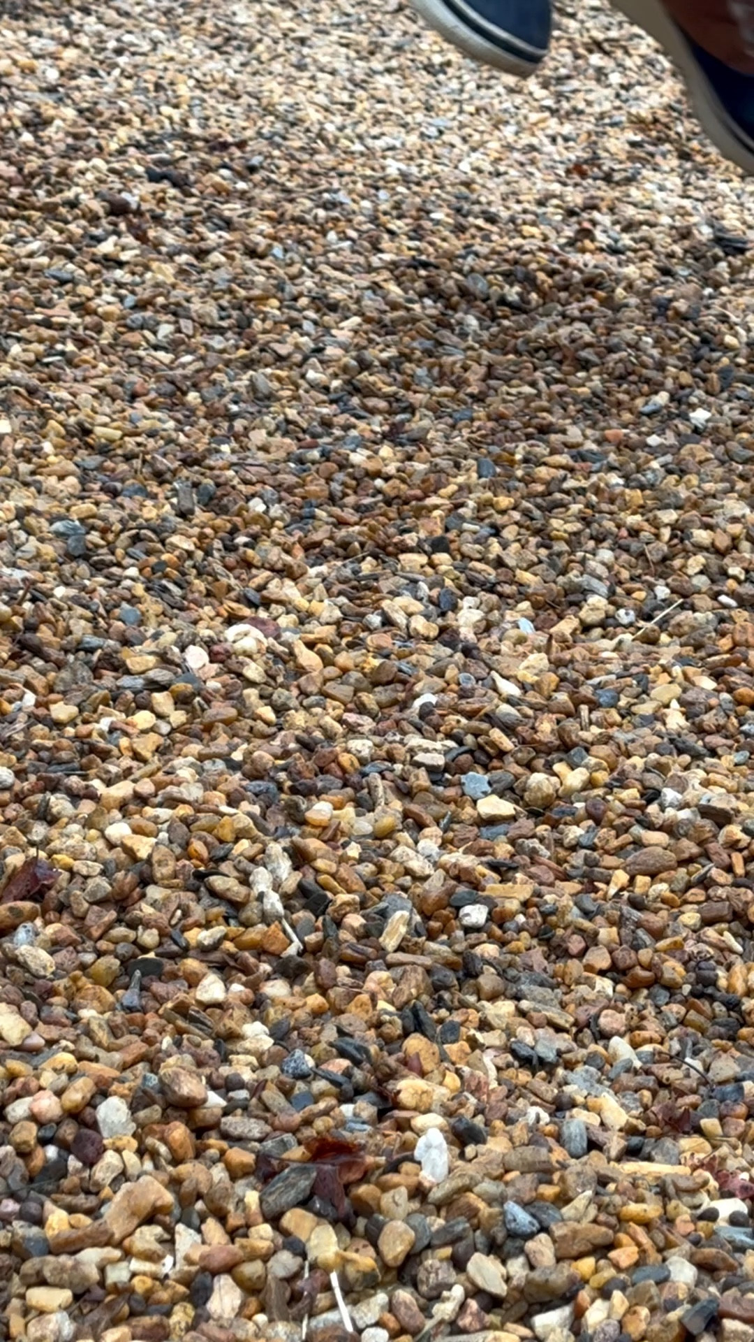 This gravel binder is the best! Helps to keep your mulch or stones secure, just in time for spring! ￼

#gravelbinder #spring #landscaping 

#LTKHome #LTKSpringSale