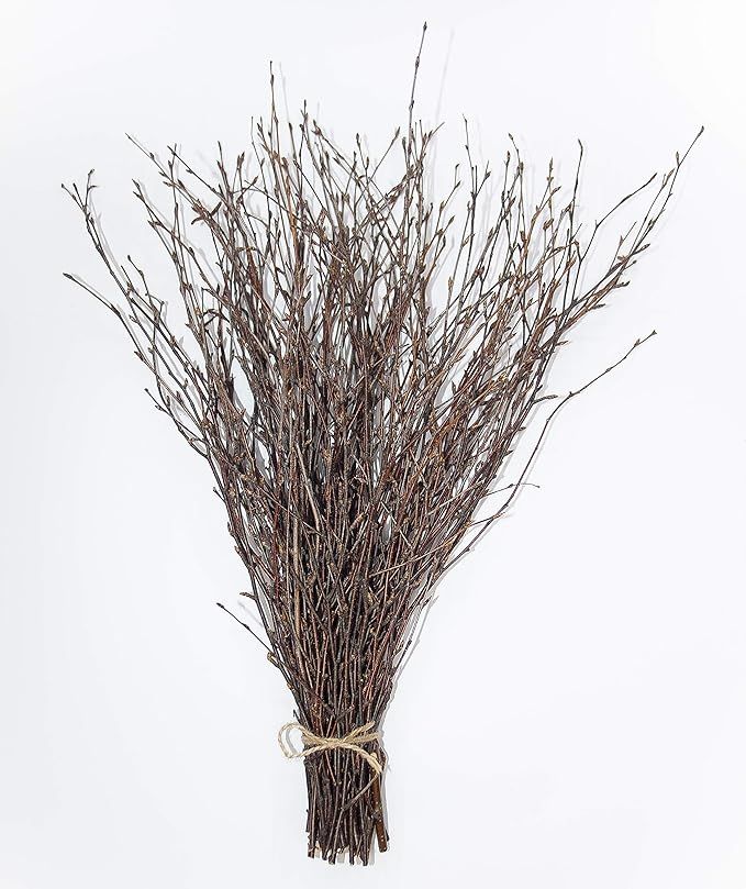 ECOVENIK 50 psc. Birch Twigs – 100% Natural Decorative Birch Branches for Vases, Centerpieces &... | Amazon (US)