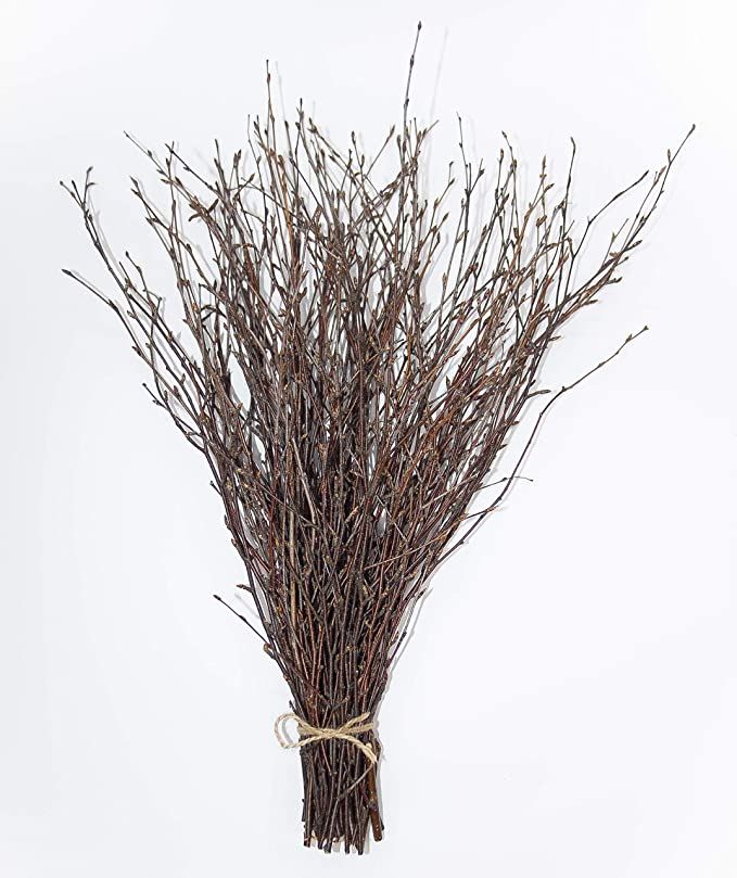 50 psc. Birch Twigs – 100% Natural Decorative Birch Branches for Vases, Centerpieces & DIY Craf... | Amazon (US)