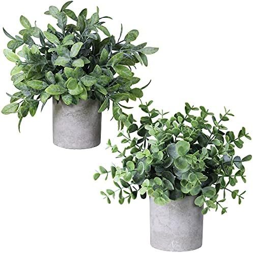 Set of 2 Faux Mini Potted Plants Artificial Eucalyptus Boxwood Plants in Pots Fake Greenery Arran... | Amazon (US)