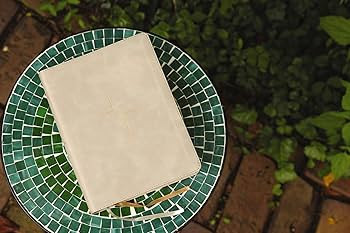 The Jesus Bible, NIV Edition, Leathersoft, Stone, Comfort Print | Amazon (US)