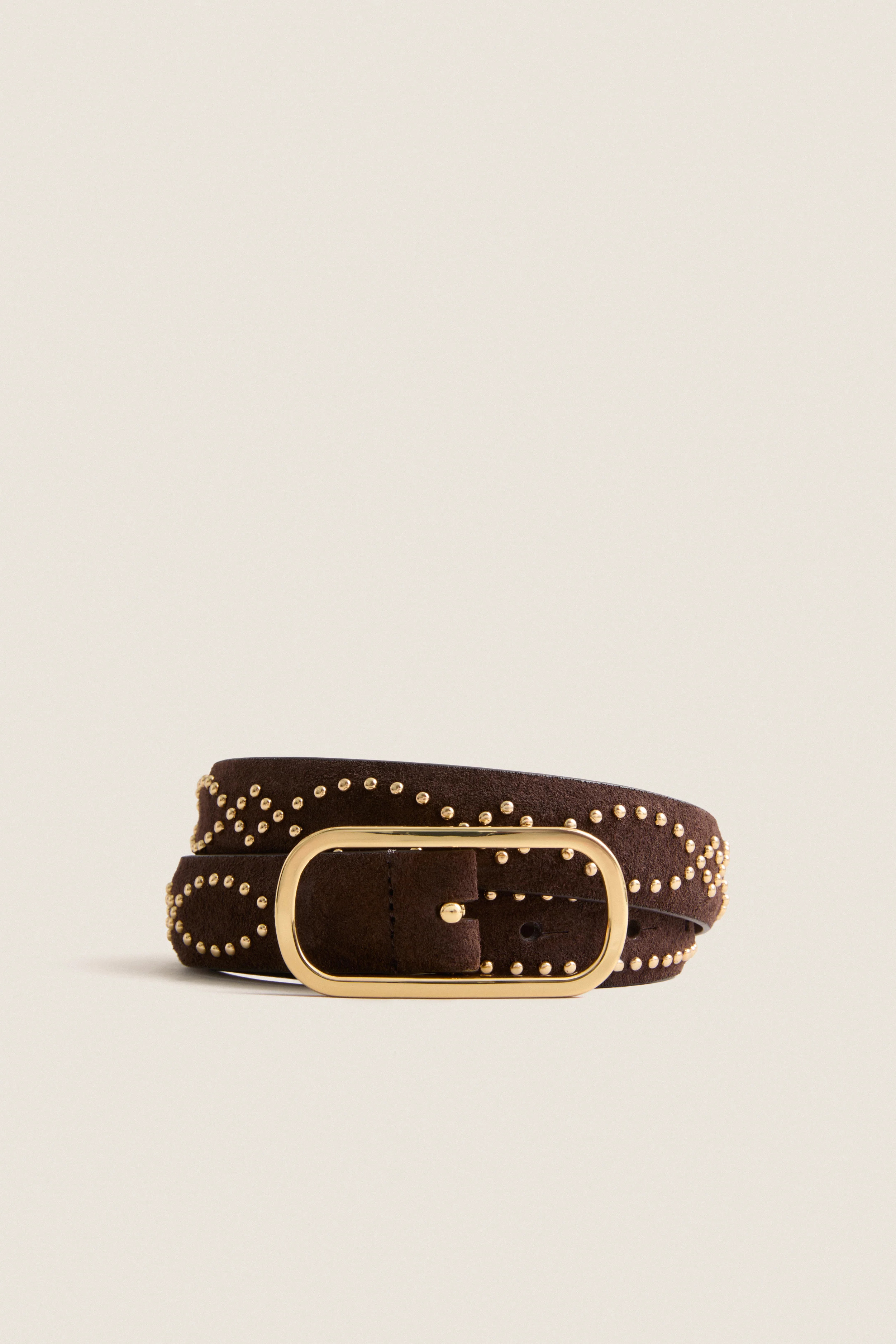 Espresso Studded Loop Belt | Tuckernuck (US)