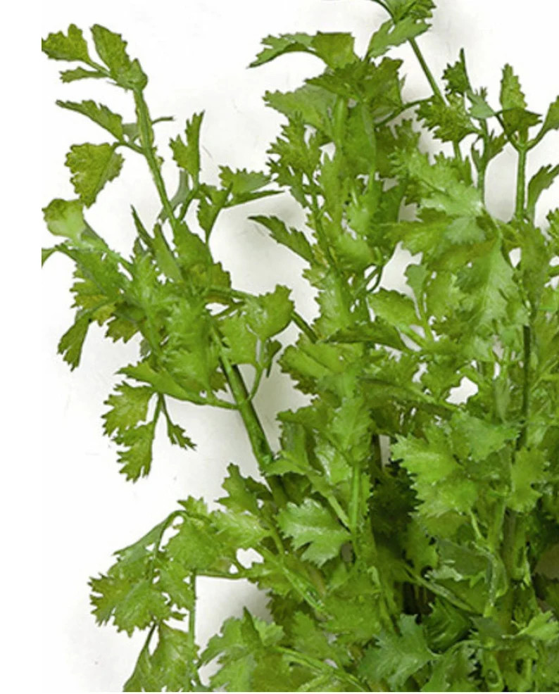 16 Artificial Faux Cilantro Plant Bundle-artificial Herbs-herb Plants-kitchen Herbs-farmhouse Her... | Etsy (US)