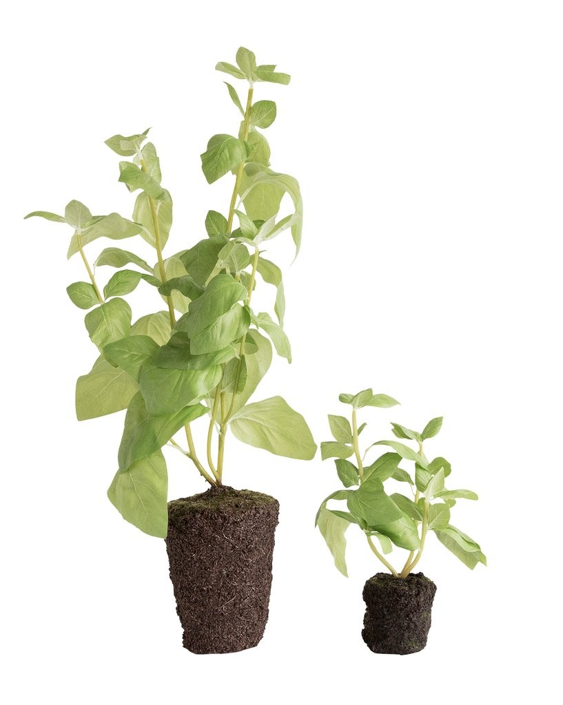 Faux Basil Drop-In | McGee & Co.