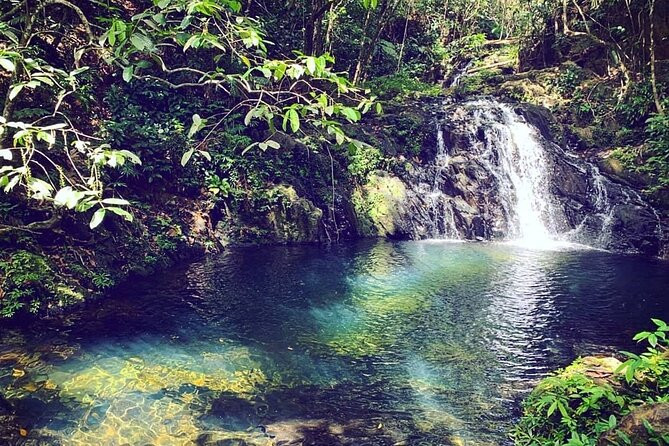 Tripadvisor: Over a billion reviews & contributions for Hotels, Attractions, Restaurants, and mor... | TripAdvisor US