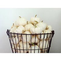 12 Mini Off White Pumpkins, Thanksgiving Decor, Fall Table Decor, Name Place Card Alternative, real pumpkins | Etsy (US)