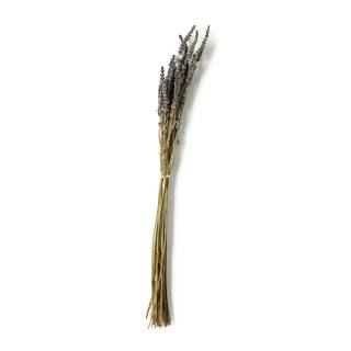 Lavender Grass Bundle by Ashland® | Michaels Stores