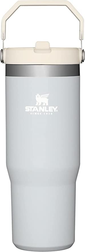 Amazon.com: Stanley IceFlow Stainless Steel Tumbler with Straw - Vacuum Insulated Water Bottle fo... | Amazon (US)