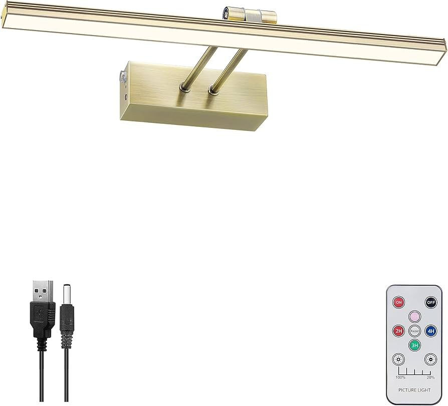 FUNCHDAY Wierelss Picture Light,13inch Picture Light Battery Operated,Remote Painting Light with ... | Amazon (CA)