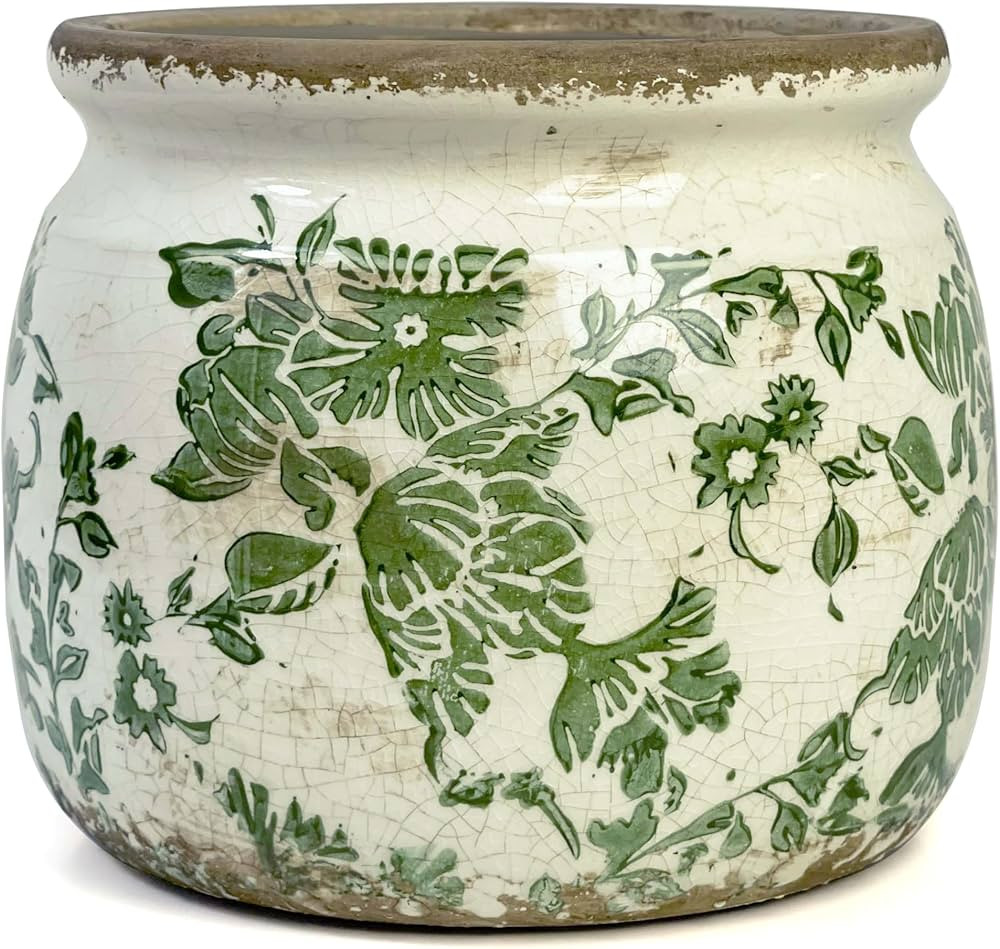 Vintage Ceramic Ice Crack Flower Pot with Drainage Holes, Country Rustic Planters for Indoor and ... | Amazon (US)