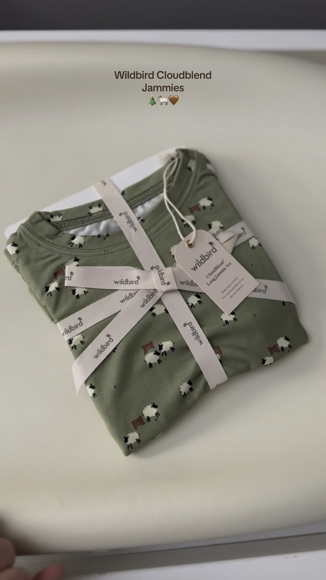 Wildbird bunty - cloudblend™ long sleeve pajamas set
 🐑🤎✨

USE CODE: BROOKEB10 for a discount at checkout 

#toddler #toddlermom #toddlerjammies #babyjammies #pajamas #babyessentials #toddleressentials #toddlerclothing #babyclothing #wildbird 

#LTKKids #LTKBaby #LTKMostLoved