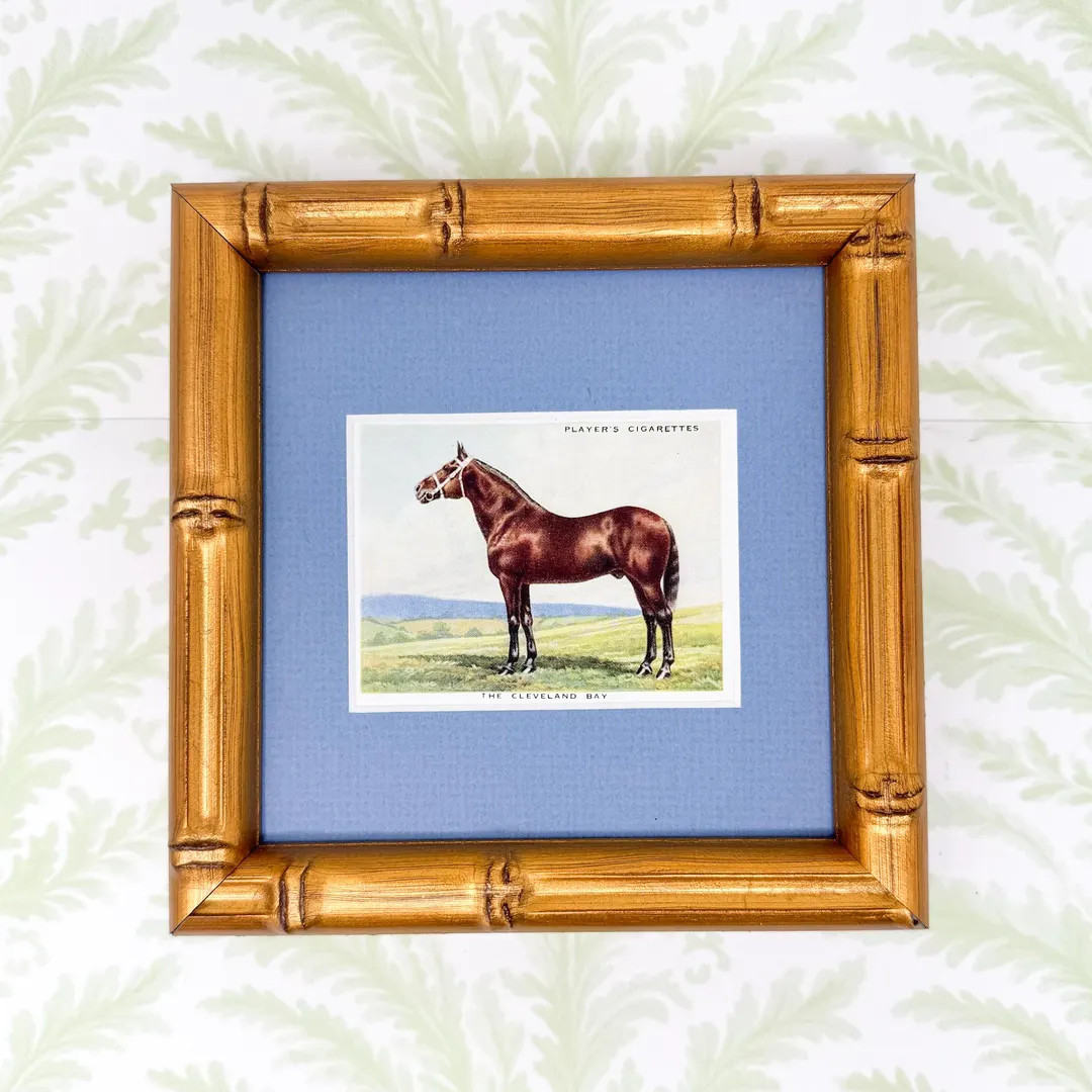 Framed Antique Horse Cigarette Card C. 1939, Cleveland Bay - Etsy | Etsy (US)