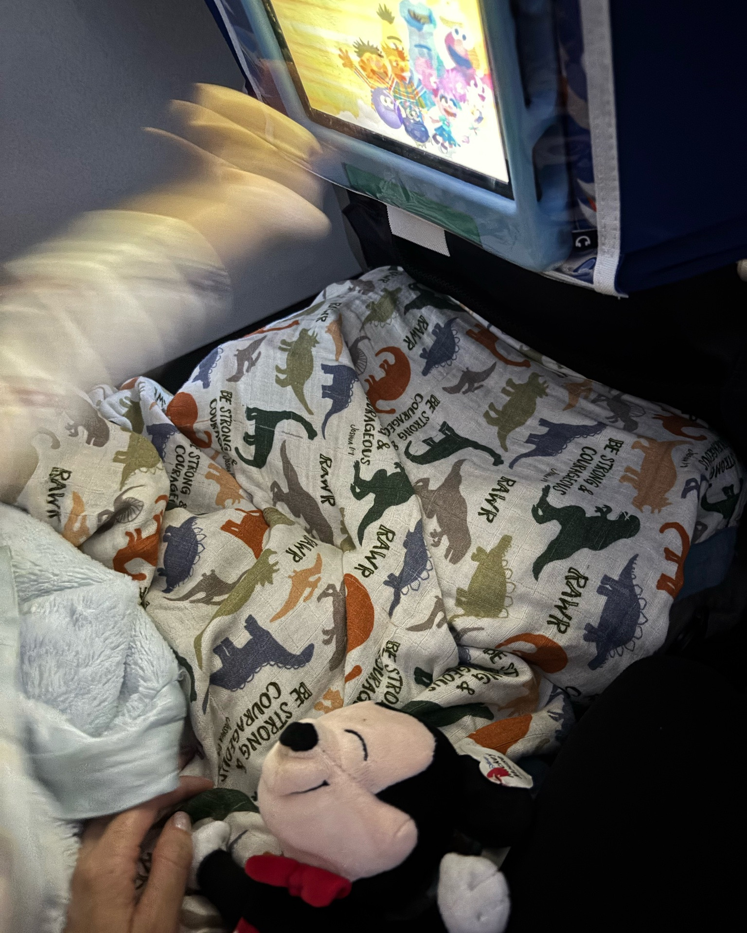 This made traveling solo with my 14 month old, a breeze. Must get. Need to make sure your airline allows. American Airlines does.