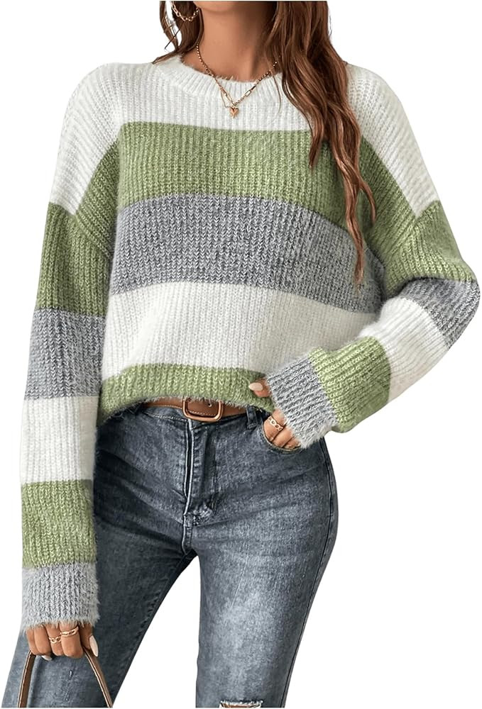 Floerns Women's Color Block Striped Crew Neck Sweater Drop Shoulder Long Sleeve Pullovers | Amazon (US)