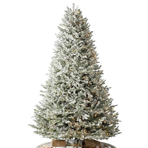 Balsam Hill Frosted BH Balsam Fir - Snow-Kissed Artificial Christmas Tree with True Needle Foliage and LED Clear Lights, 9' | Amazon (US)