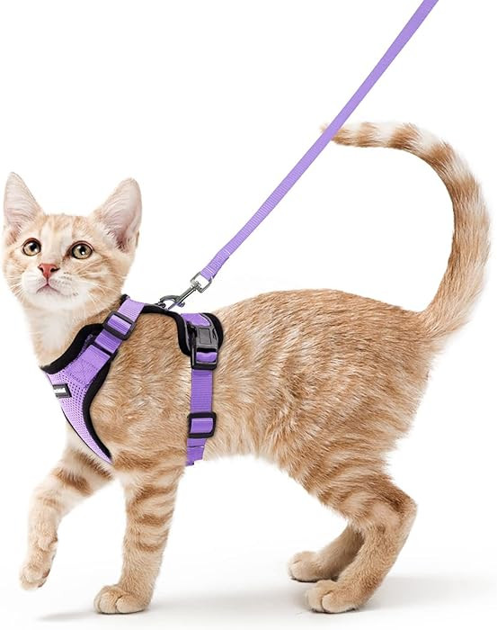rabbitgoo Cat Harness and Leash for Walking, Escape Proof Soft Adjustable Vest Harnesses for Cats... | Amazon (US)