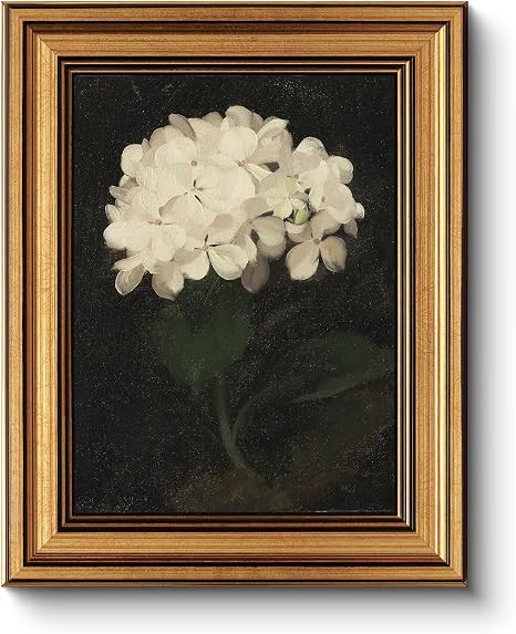 HUARCEY Gold Framed Vintage Wall Art for Living Room, Flowers Painting Canvas Prints Shelf Decor ... | Amazon (US)