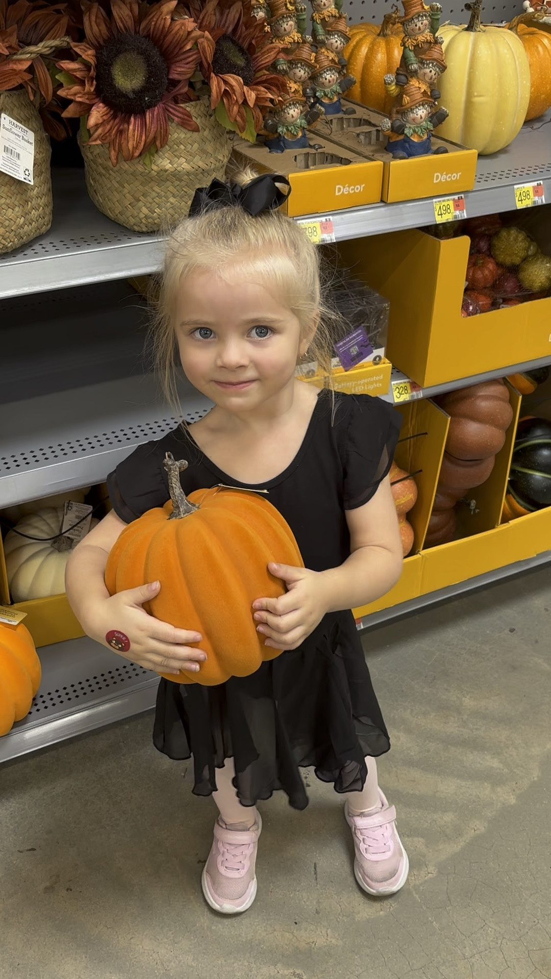 Cute fall pumpkins at Walmart!!
.
.
.
.
#Fall #Pumpkins #Walmart #FlockedPumpkins #WhitePumpkins #OrangePumpkins #FallDecor #FallTime #Home #Pumpkins #FallWreaths 

#LTKSaleAlert #LTKSeasonal #LTKHome