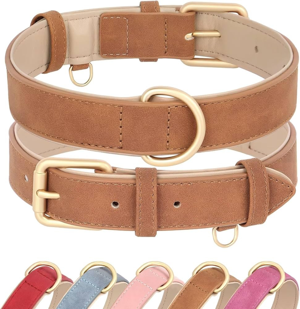 Didog Soft Padded Leather Dog Collar, Adjustable Dog Collars for Small Dogs, Heavy Duty Small Dog... | Amazon (US)
