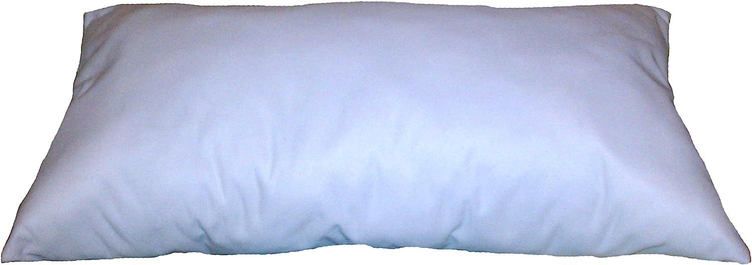 ReynosoHomeDecor 17x20 Inch Rectangular Throw Pillow Insert Form | Amazon (US)