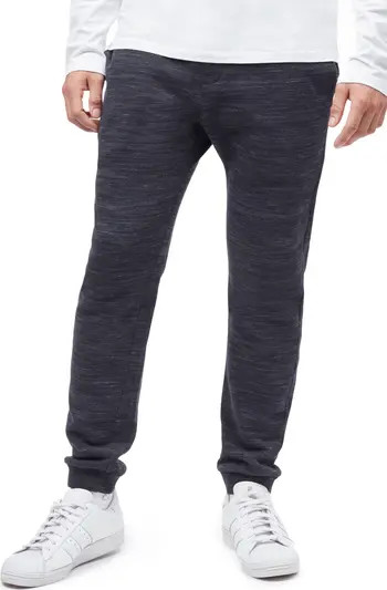tentree Atlas Jogger Sweatpants | Nordstrom | Nordstrom