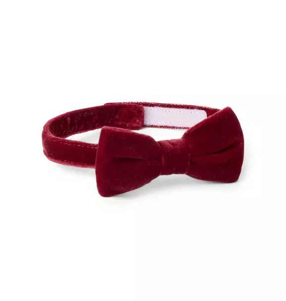 Velvet Bowtie | Janie and Jack