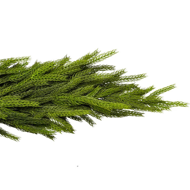 Norfolk Pine Faux Garland | Cailini Coastal