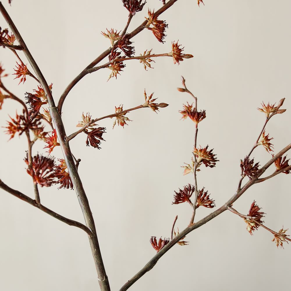 Faux Siberian Elm Branch | West Elm (US)