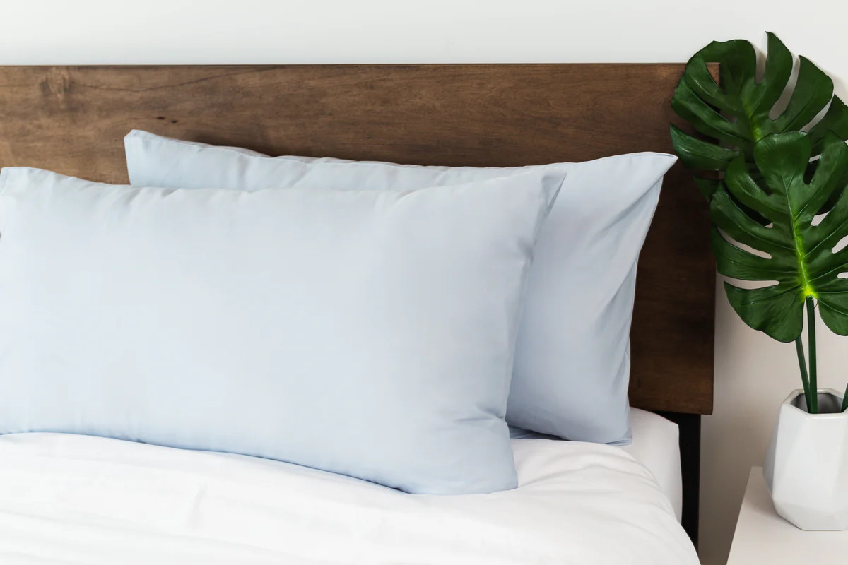 MOLECULE PILLOWCASES | MOLECULE