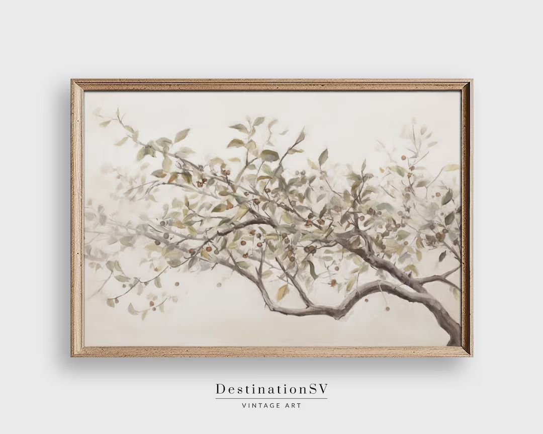Vintage Olive Tree Sketch, Botanical Print, Digital Printable, Vintage Farmhouse Kitchen Art Prin... | Etsy (US)