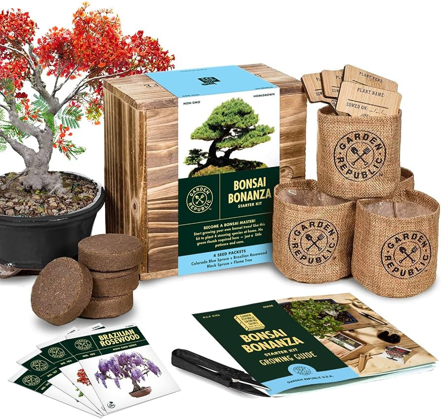 Bonsai Tree Seed Starter Kit - Mini Bonsai Plant Growing Kit, 4 Types of Seeds, Potting Soil, Jut... | Amazon (US)