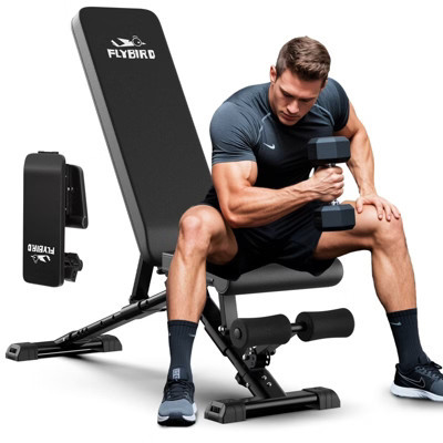 FLYBIRD Adjustable Weight Bench, Foldable Strength Training Bench for Full Body Workout with Fast Folding-New Version | Target