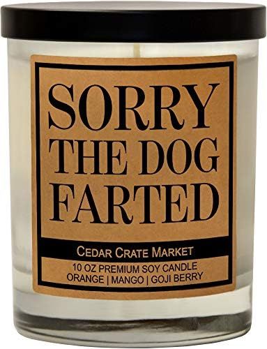Funny Dog Candles for Dog Lovers, Dog Gifts for Dog Lovers Dog Mom Gifts for Women, Pet Mom, Fur Mam | Amazon (US)