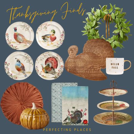 I’m loving these pretty fall finds perfect for  your Thanksgiving table and decor! Pottery Barn pheasant plates, Target Studio McGee fall wreath with velvet ribbon, John Derian Turkey serving board, tiled hello fall mug, tufted velvet fall pillow, pumpkin tureen, Turkey Thanksgiving tea towels, three-tiered Turkey tray

#LTKhome #LTKSeasonal #LTKHoliday