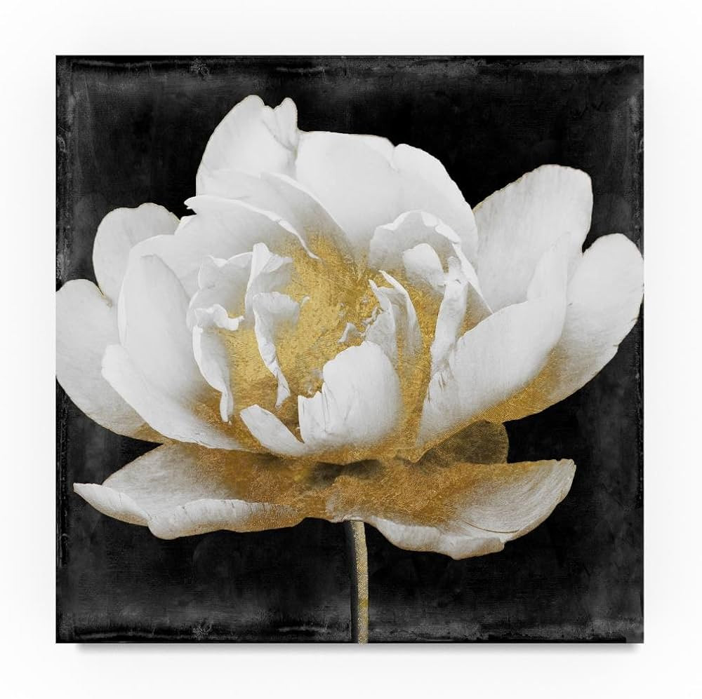 Gilda II by Color Bakery, 24x24-Inch Canvas Wall Art | Amazon (CA)