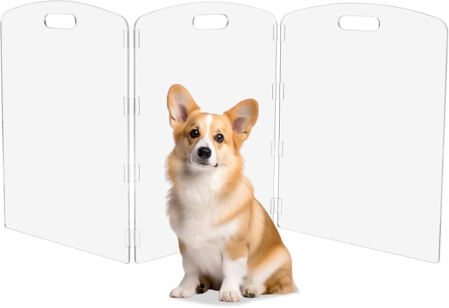 Modern Frame Clear Acrylic Freestanding Pet Gate - 24" High Folding 3-Panel Dog Barrier for Doorw... | Amazon (US)