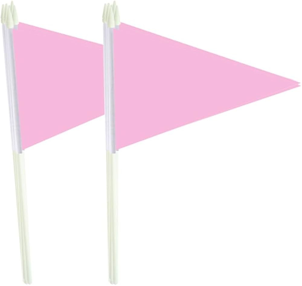 12Pack Small Pink Pennant Stick Flag Mini Triangle Blank DIY Graffiti Hand Held 5x8 Inch Flags wi... | Amazon (US)