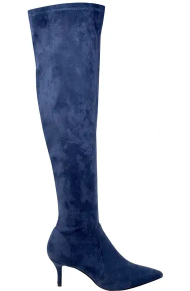 Charles by Charles David Aleigha Over the Knee Pointed Toe Boot (Women) | Nordstrom