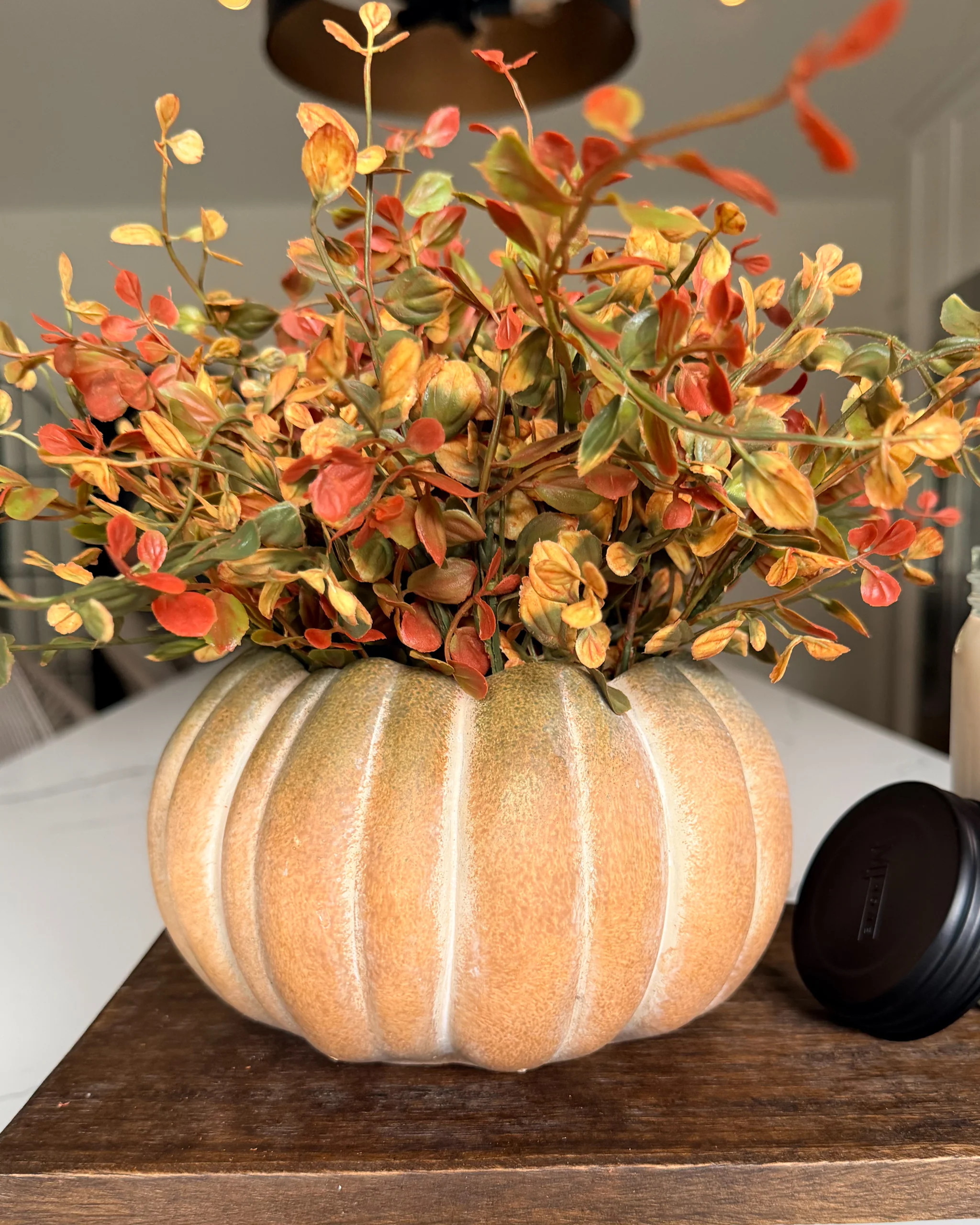 Pumpkin Cement Planter | MJHome