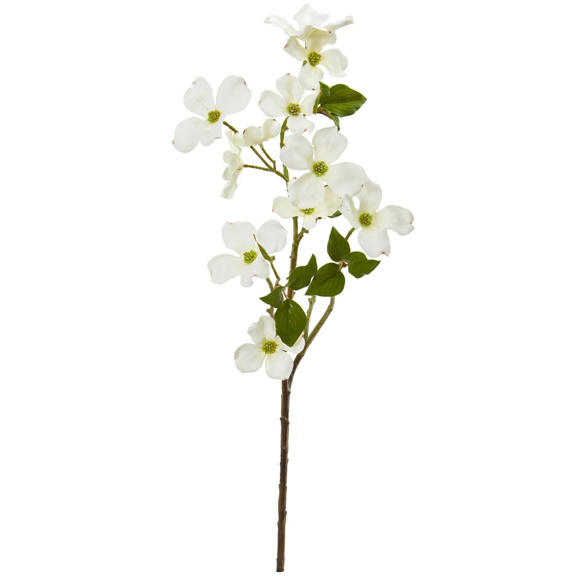 Dogwood Arrangement | Wayfair North America